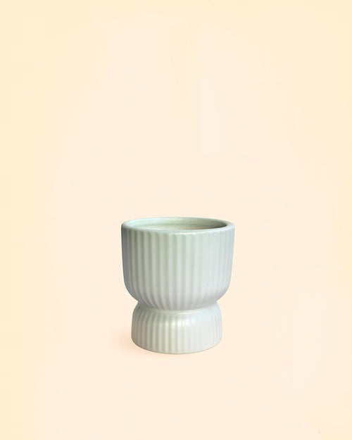 Jolie – Mini Maceta Blanca 6 cm - Pur Plant