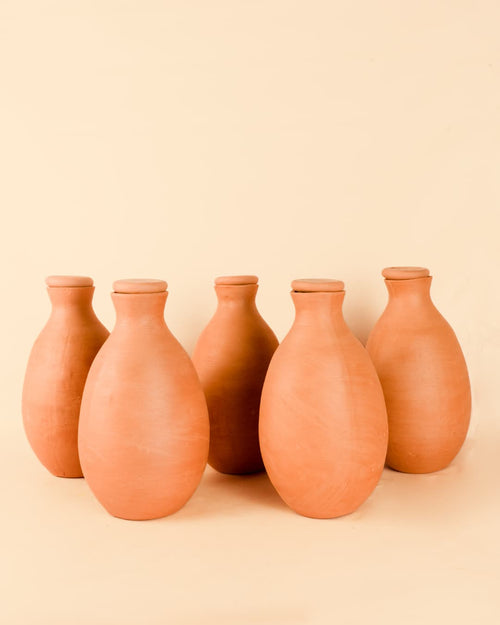 Kit 5x Ollas Autorriego Terracota 2L - Pur Plant
