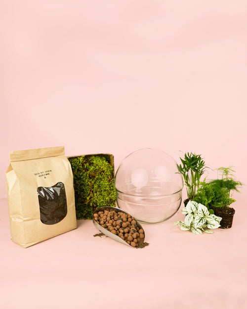 Kit Terrario Create – DIY L - Pur Plant