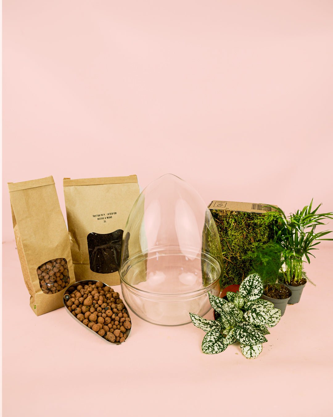 Kit Terrario Genesis – OVO DIY L - Pur Plant