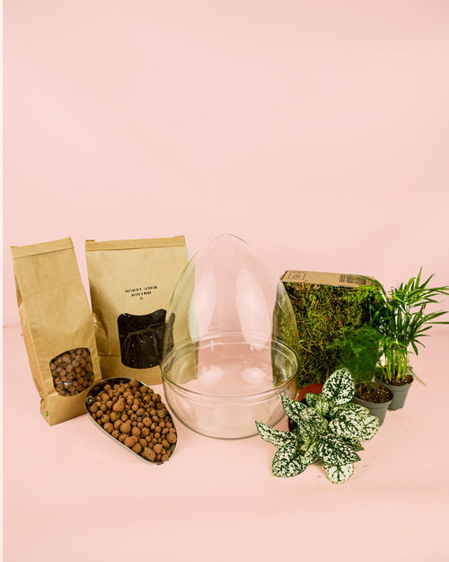 Kit Terrario Genesis – OVO DIY L - Pur Plant