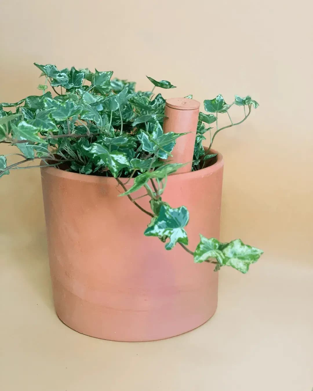 Kit 5x Tubos Autorriego Terracota Grandes