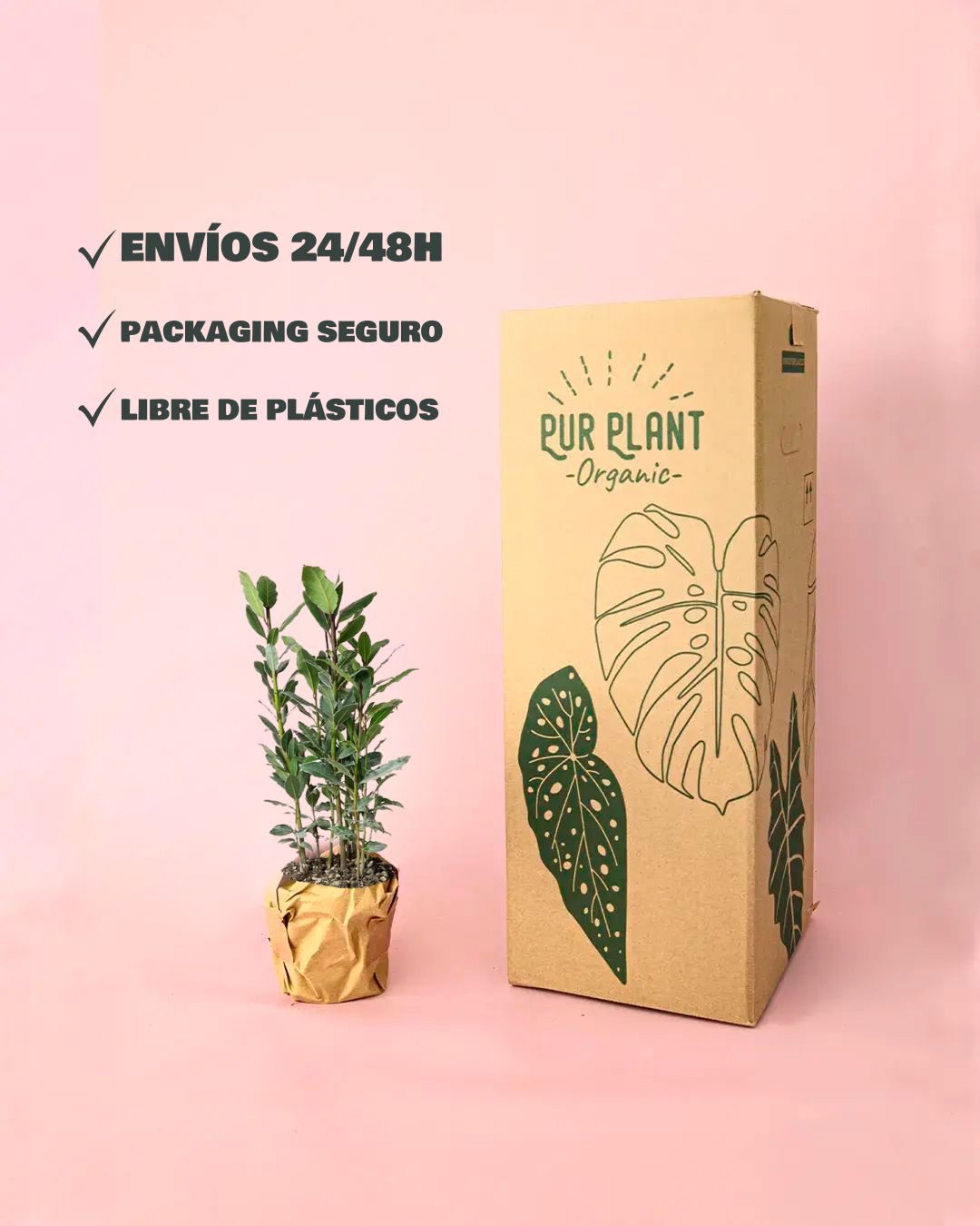 laurel packaging