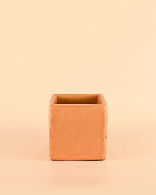 Maceta Cuadrada Terracota – 12cm - Pur Plant