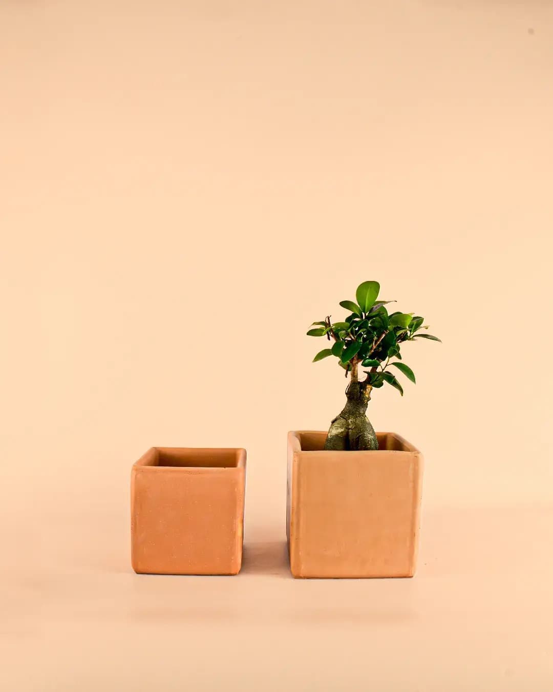 Maceta Cuadrada Terracota – 14cm - Pur Plant