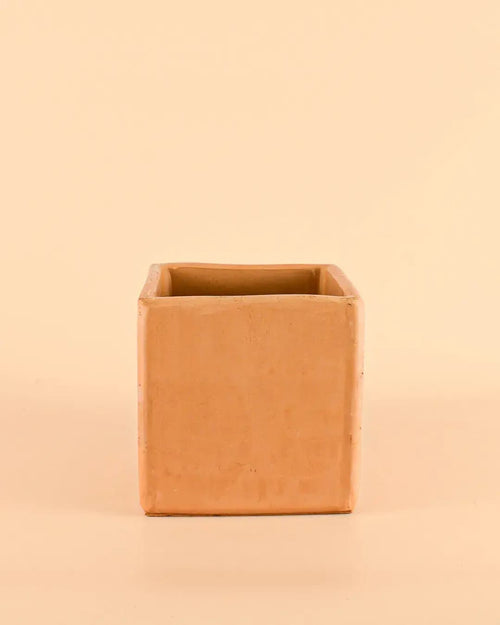 Maceta Cuadrada Terracota – 14cm - Pur Plant