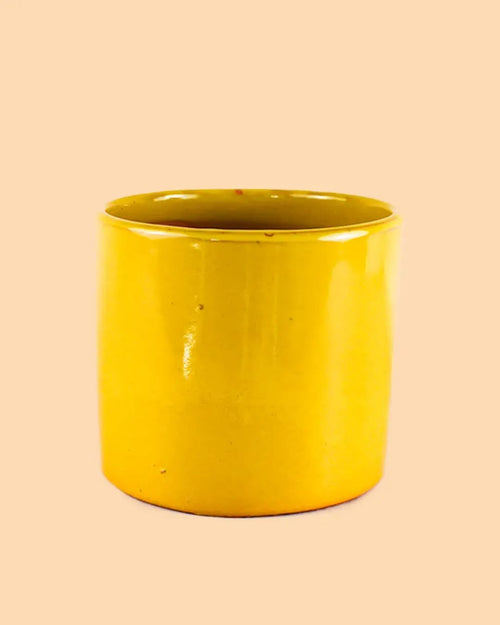 Maceta Mostaza L – 19 cm - Pur Plant