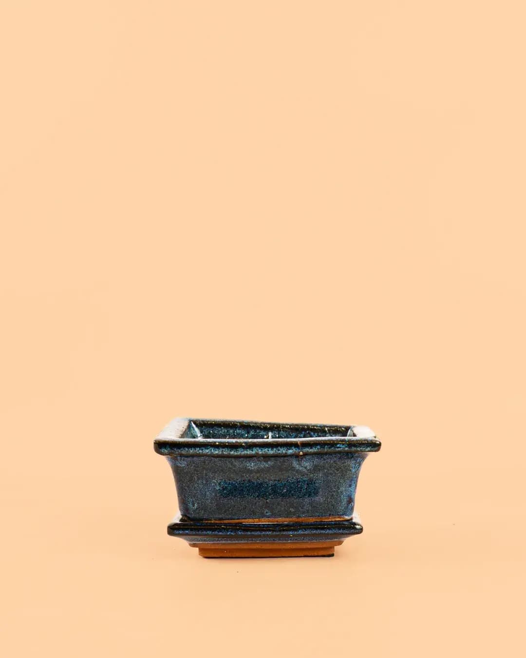 Maceta para bonsái – Azul - Pur Plant