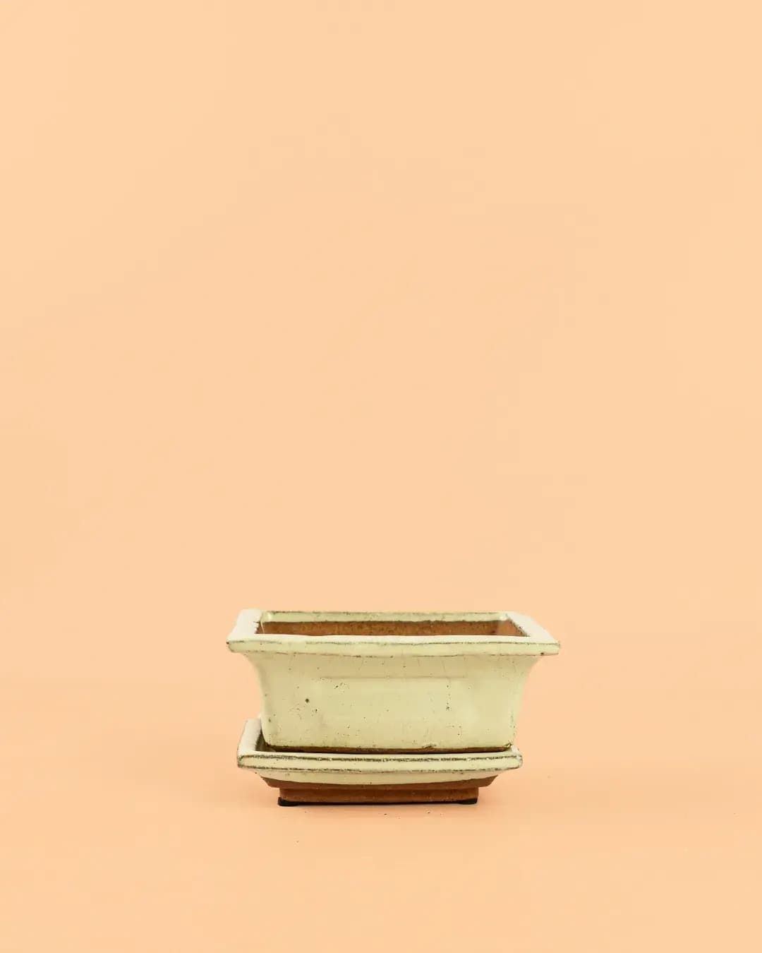 Maceta para Bonsái – Blanca - Pur Plant