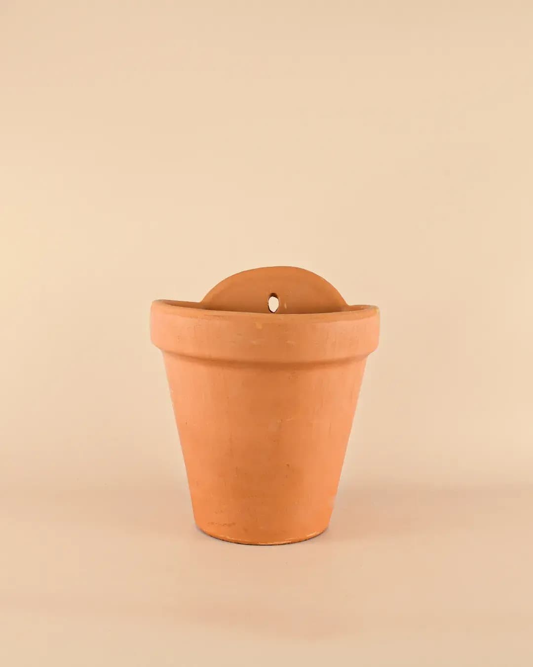 Maceta Pared Terracota L – 18 cm - Pur Plant