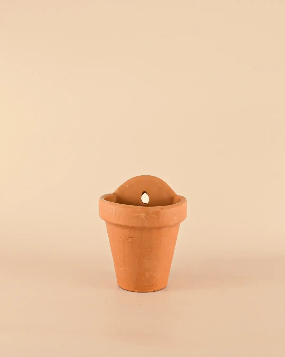 Maceta Pared Terracota M – 14 cm - Pur Plant