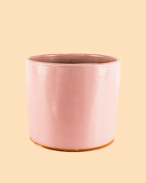 Maceta Rosa L – 19 cm - Pur Plant