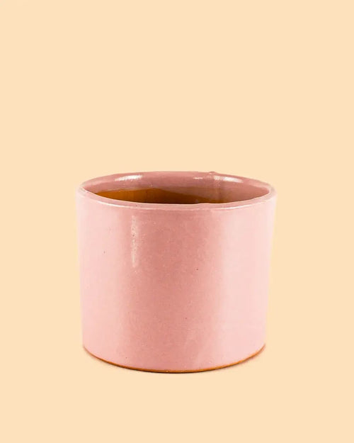 Maceta Rosa M – 15 cm - Pur Plant