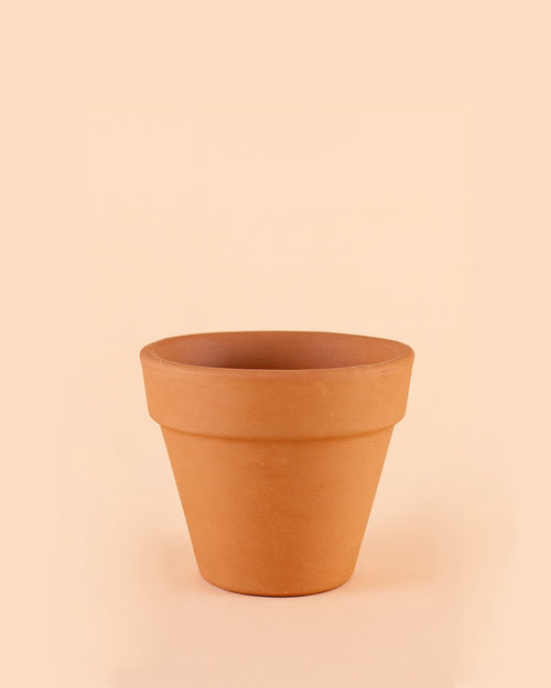 Maceta terracota Clasic M – 15 cm - Pur Plant