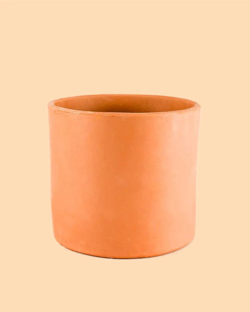 Maceta Terracota L – 17 cm - Pur Plant