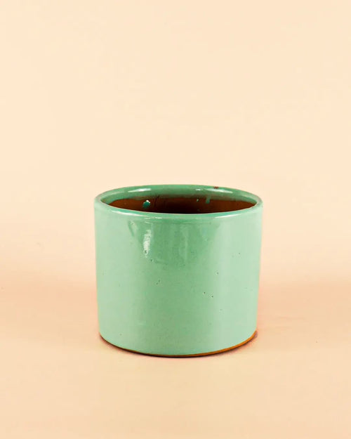 Maceta Turquesa M – 15 cm - Pur Plant