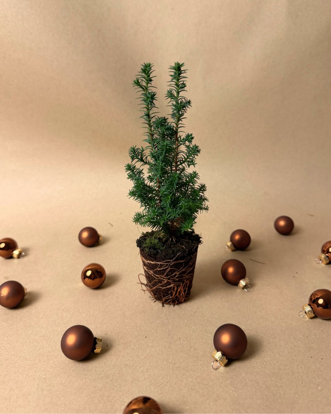 mini arbol navidad sin maceta bolas