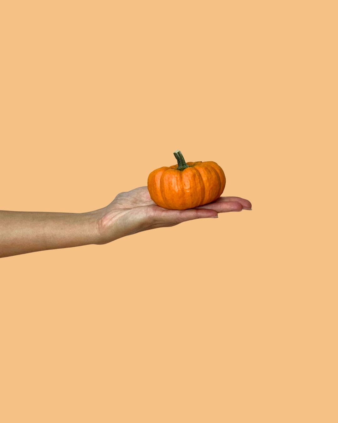 mini calabaza jack mano