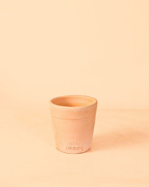 Mini Maceta Artesanal Pur Plant – Salmón 10 cm - Pur Plant