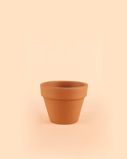 Mini Maceta Terracota Clasic S – 9 cm - Pur Plant