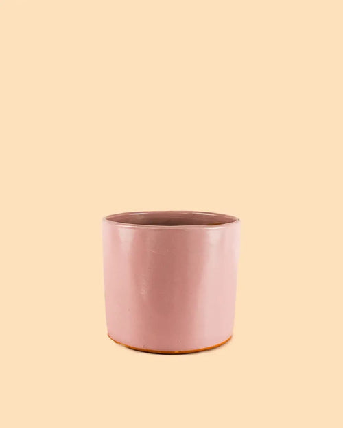 Mini Maceta Terracota Rosa - Pur Plant