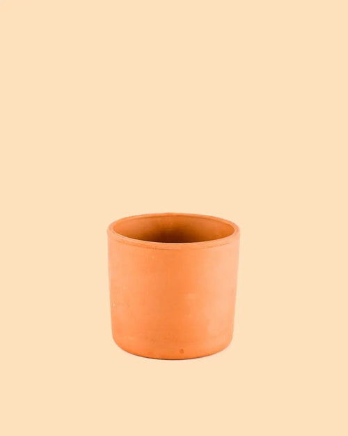 Mini Maceta Terracota S – 9 cm - Pur Plant