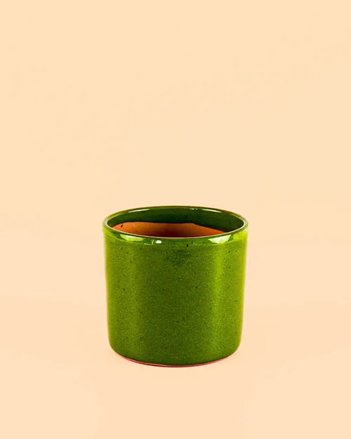 Mini Maceta Terracota Verde - Pur Plant
