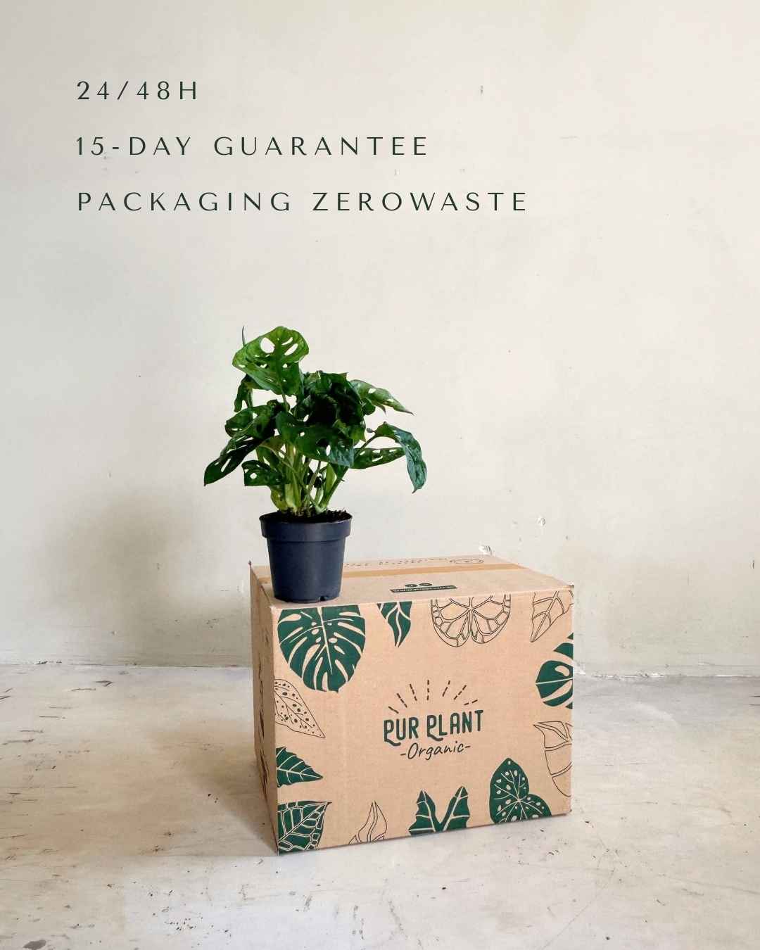 monkey-adansonii-m-packaging