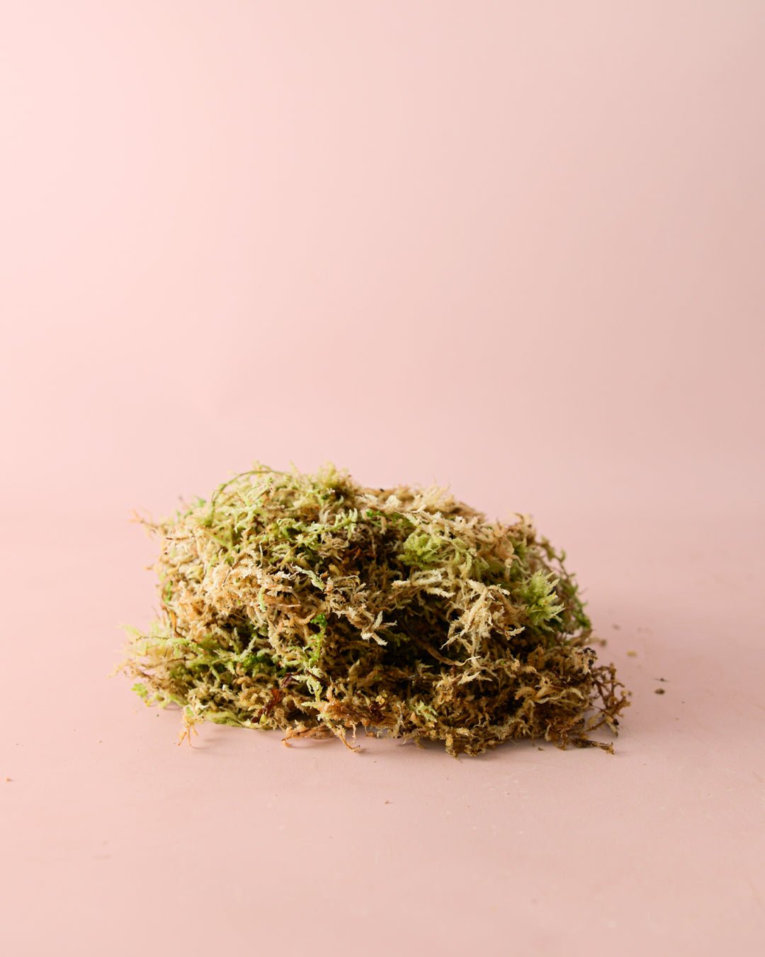 Musgo Sphagnum 100g - Pur Plant