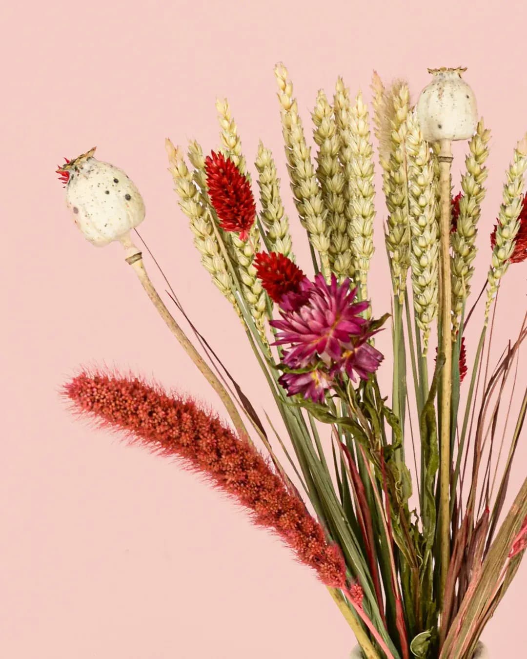 Nancy – Ramo Flores Secas Naturales - Pur Plant