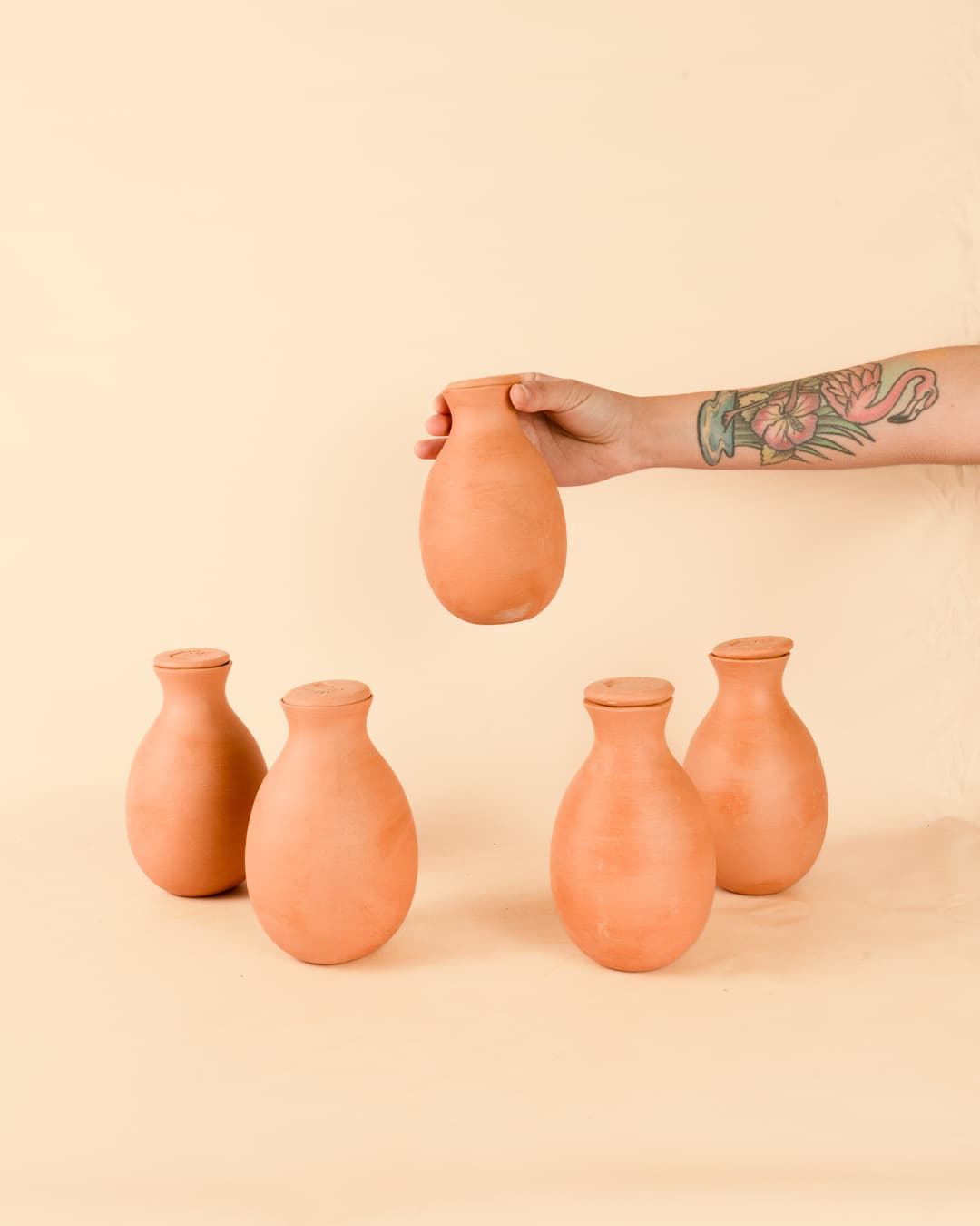 Kit 5x Ollas Autorriego Terracota 350 ml