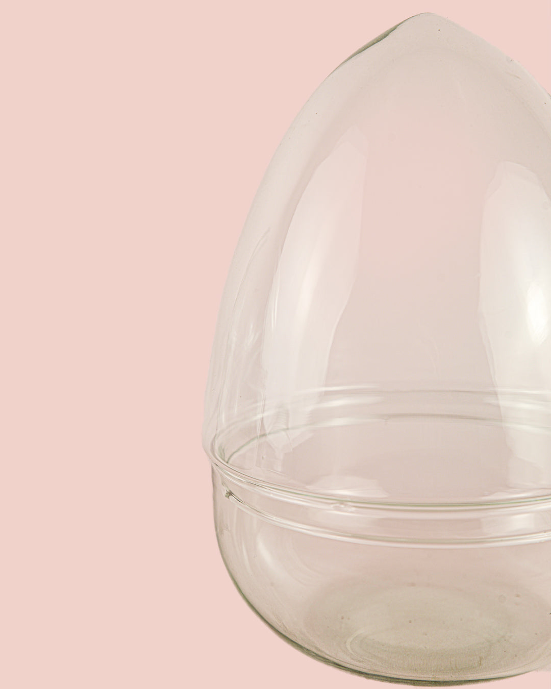 ovo-terrario27x20-detalle