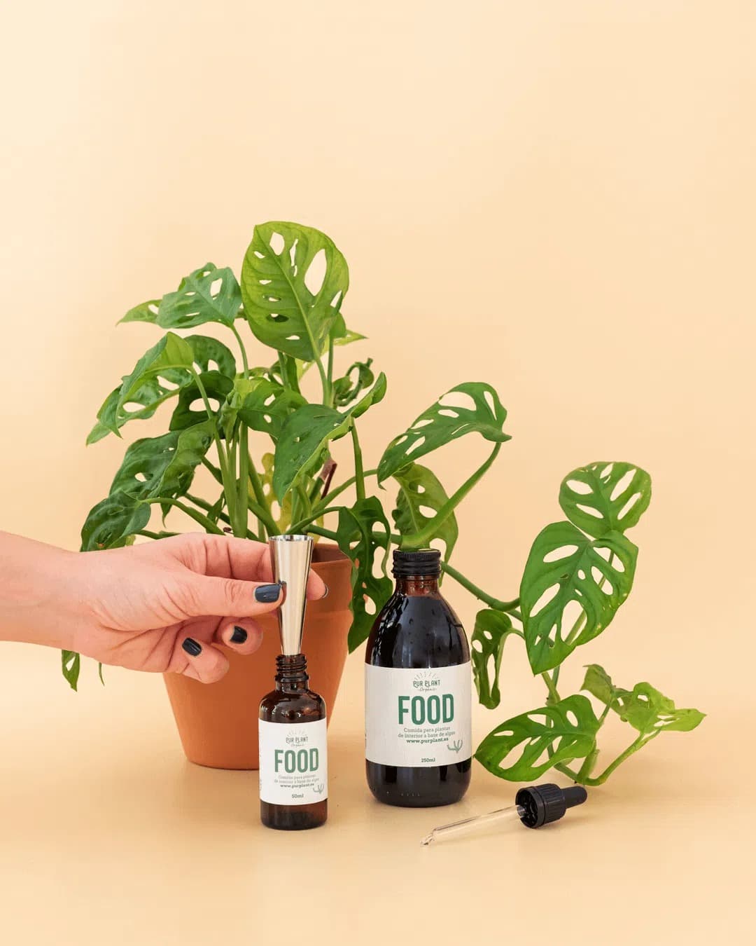 Plant Food – Comida para Plantas Interior 50ml - Pur Plant