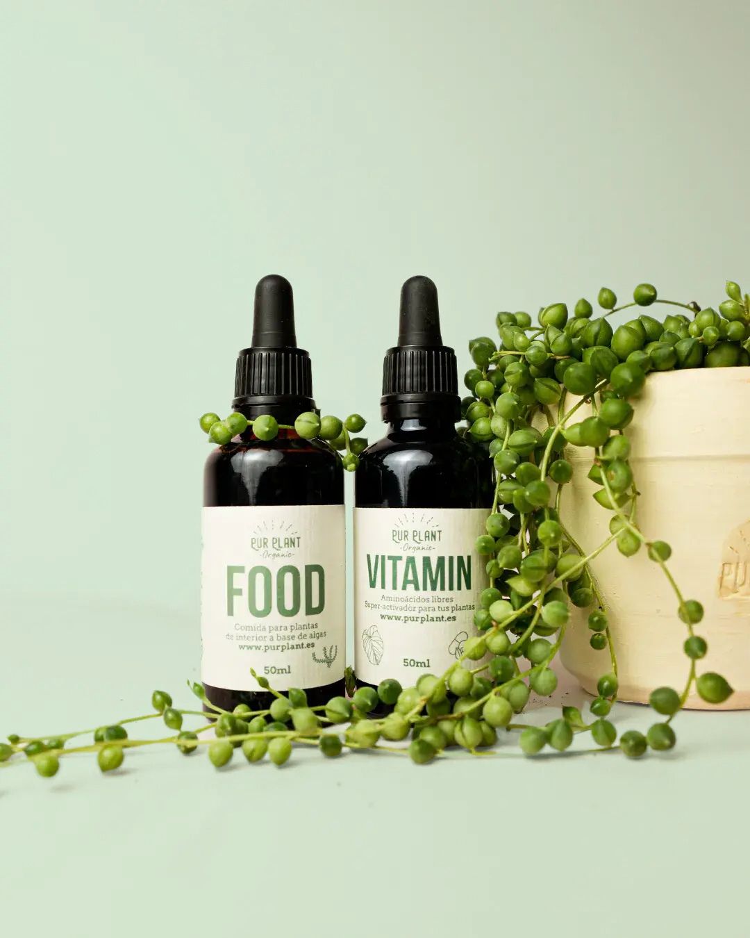 Plant Nutrition Box - Nutrición para Plantas de Interior