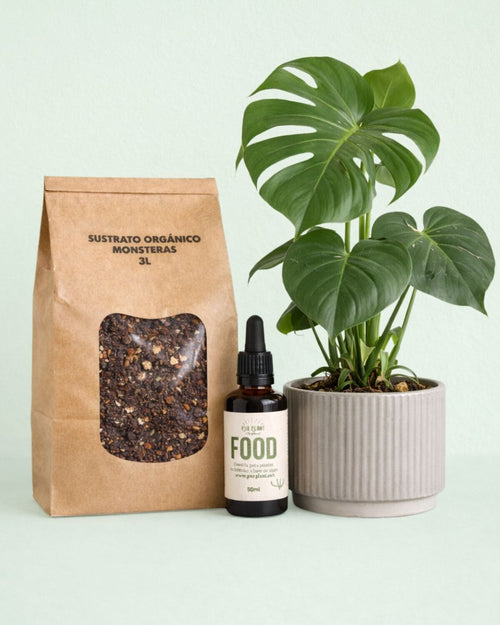 Plant Nutrition Box - Nutrición para Monsteras - Pur Plant