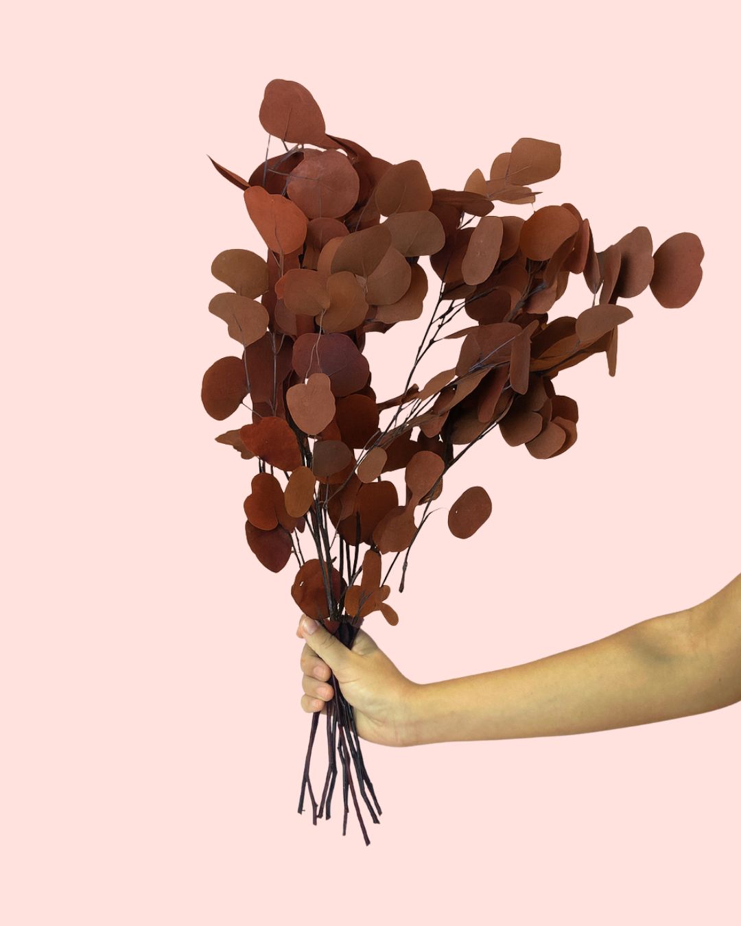 Ramillete de Eucalipto Populus Preservado Rojo