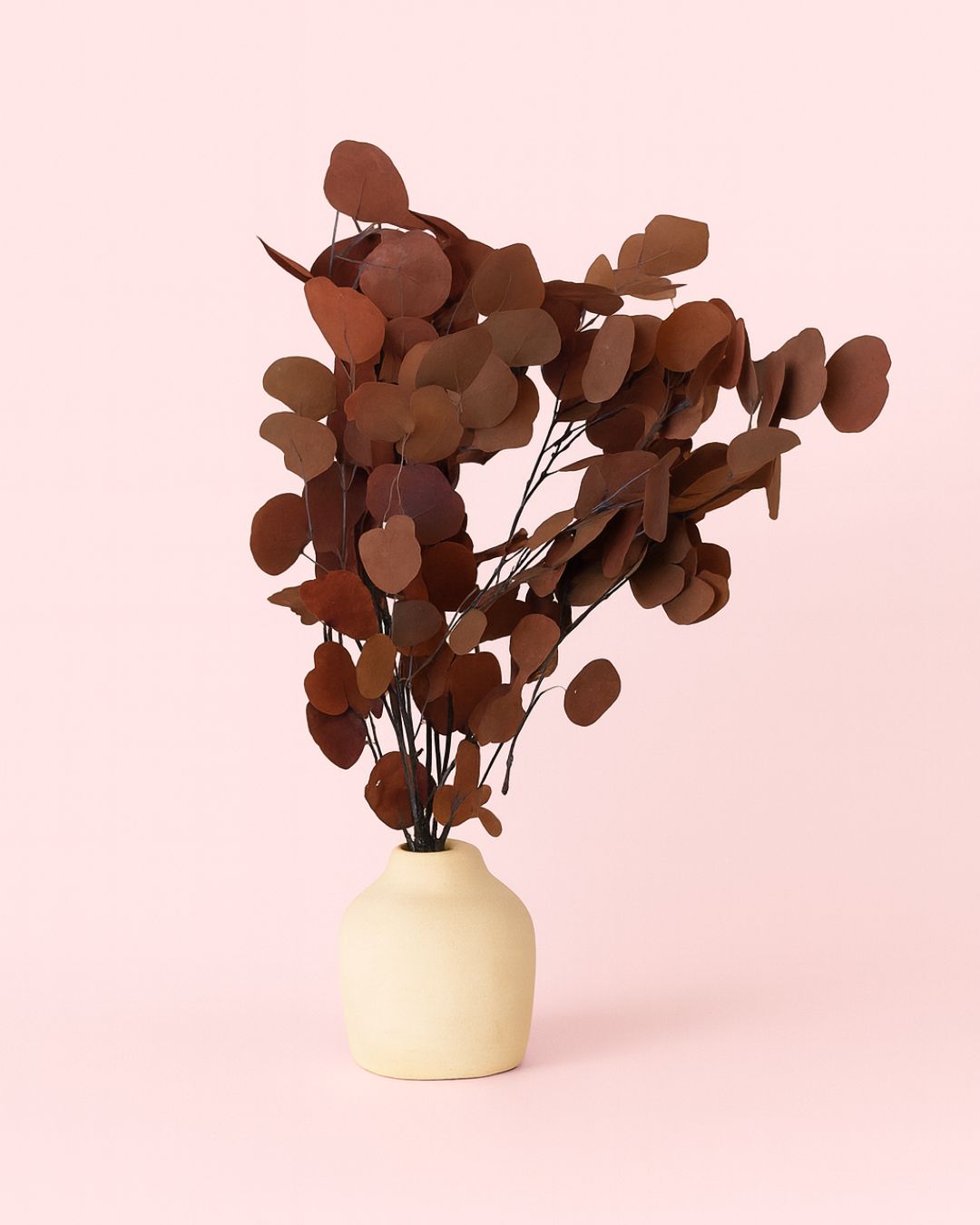 ramo eucalipto rojo jarron