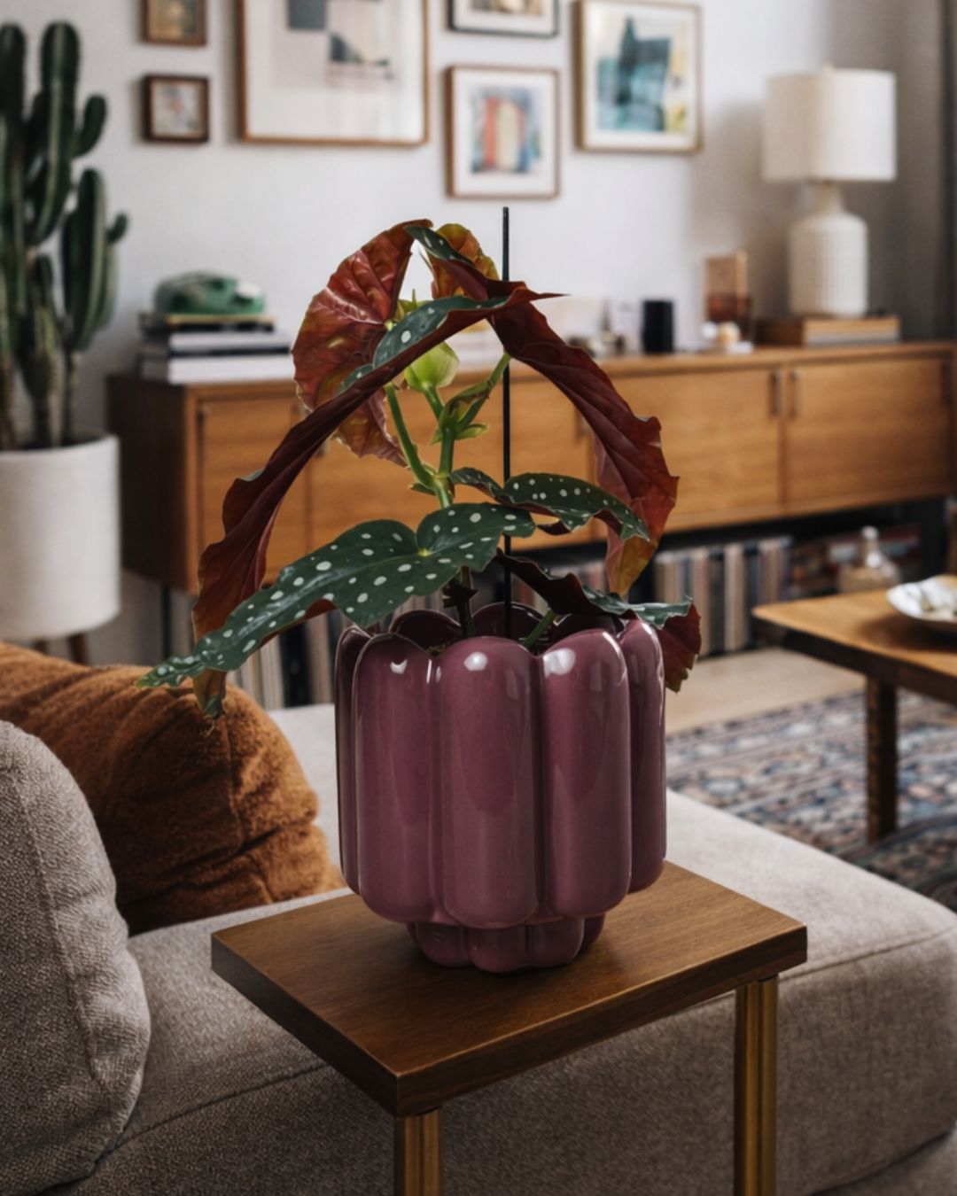 Retro – Maceta Cerámica Magenta M 11 cm - Pur Plant