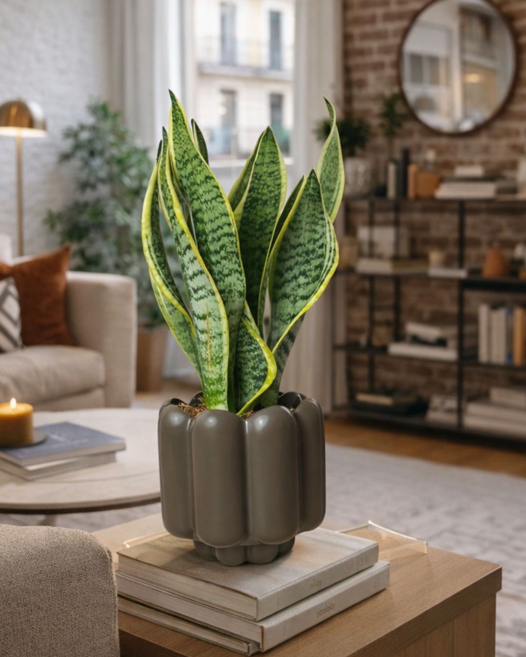 retro-marron-mate-contexto