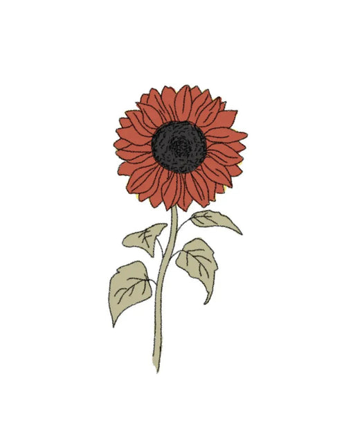 Semillas de Girasol Velvet Queen - Pur Plant