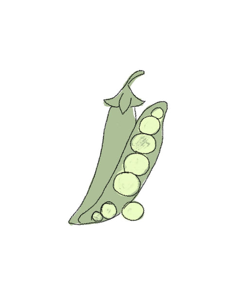Semillas de Guisante Ambrosia - Pur Plant