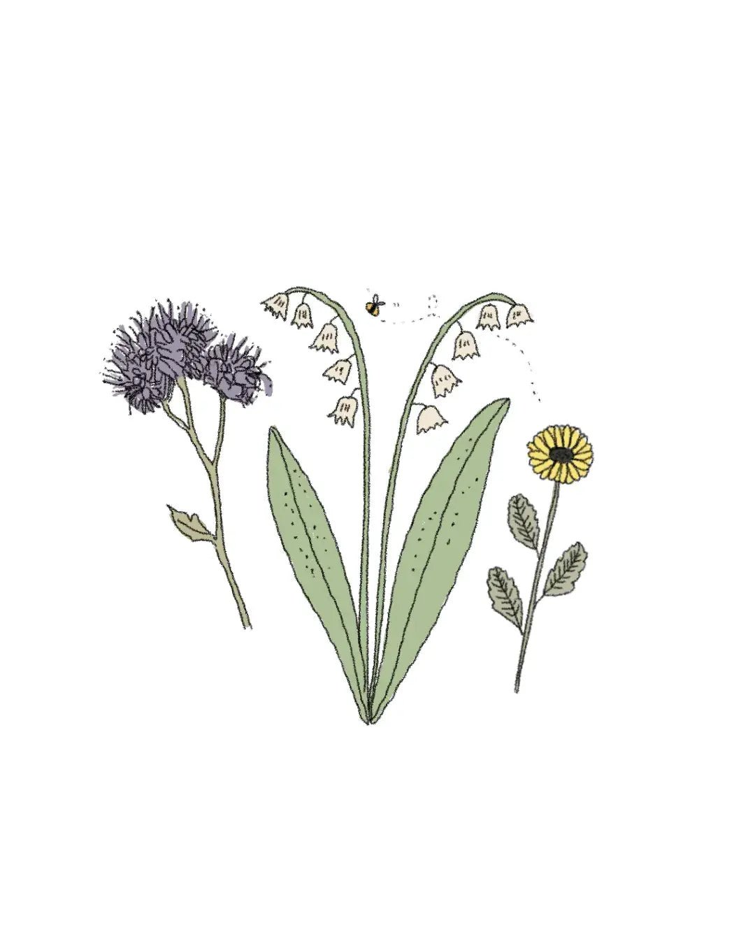 Semillas de Mezcla de Flores para Abejas - Pur Plant
