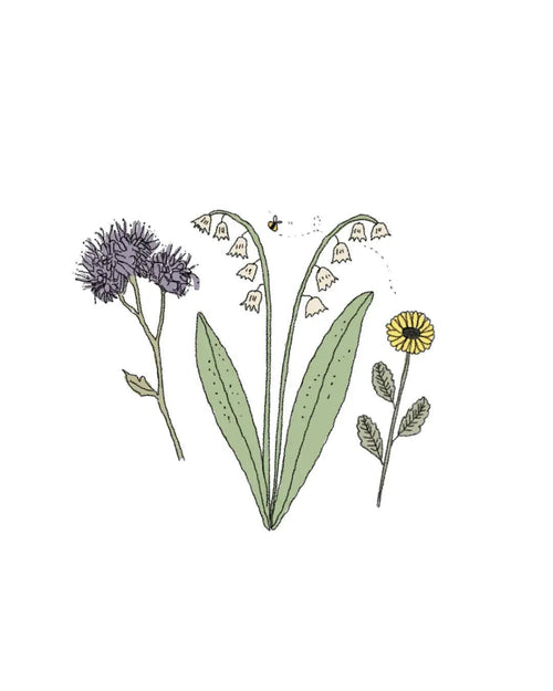 Semillas de Mezcla de Flores para Abejas - Pur Plant