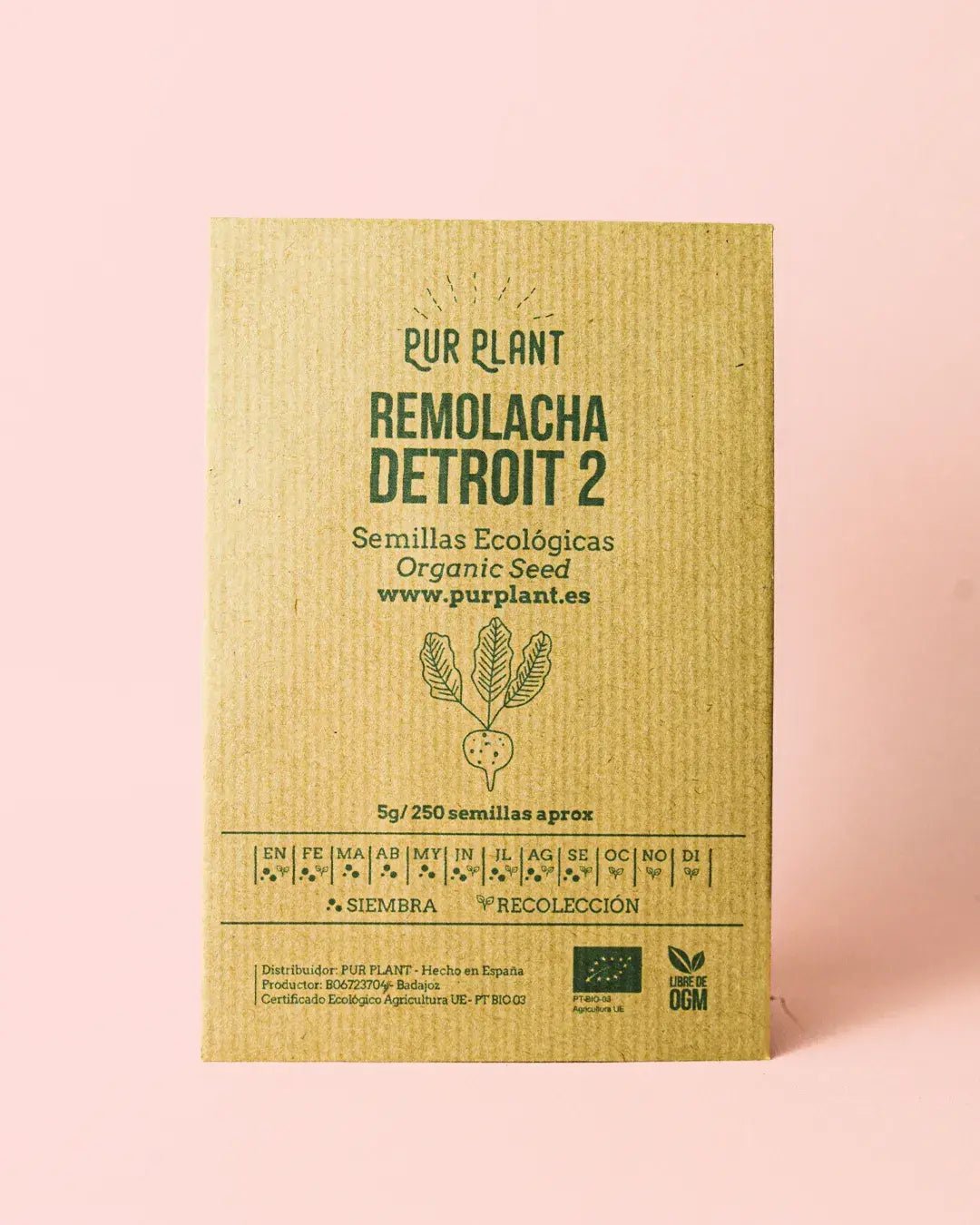 Semillas de Remolacha Detroit 2 - Pur Plant