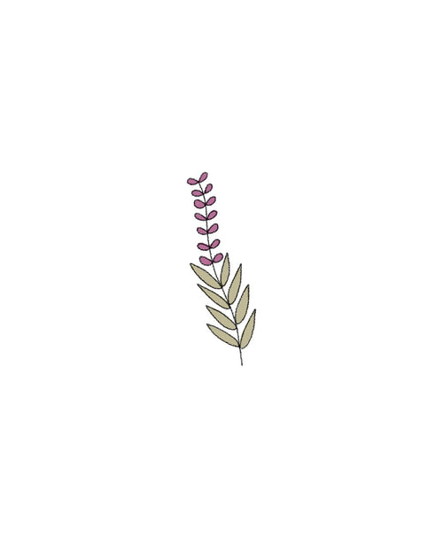 Semillas de Salvia - Pur Plant