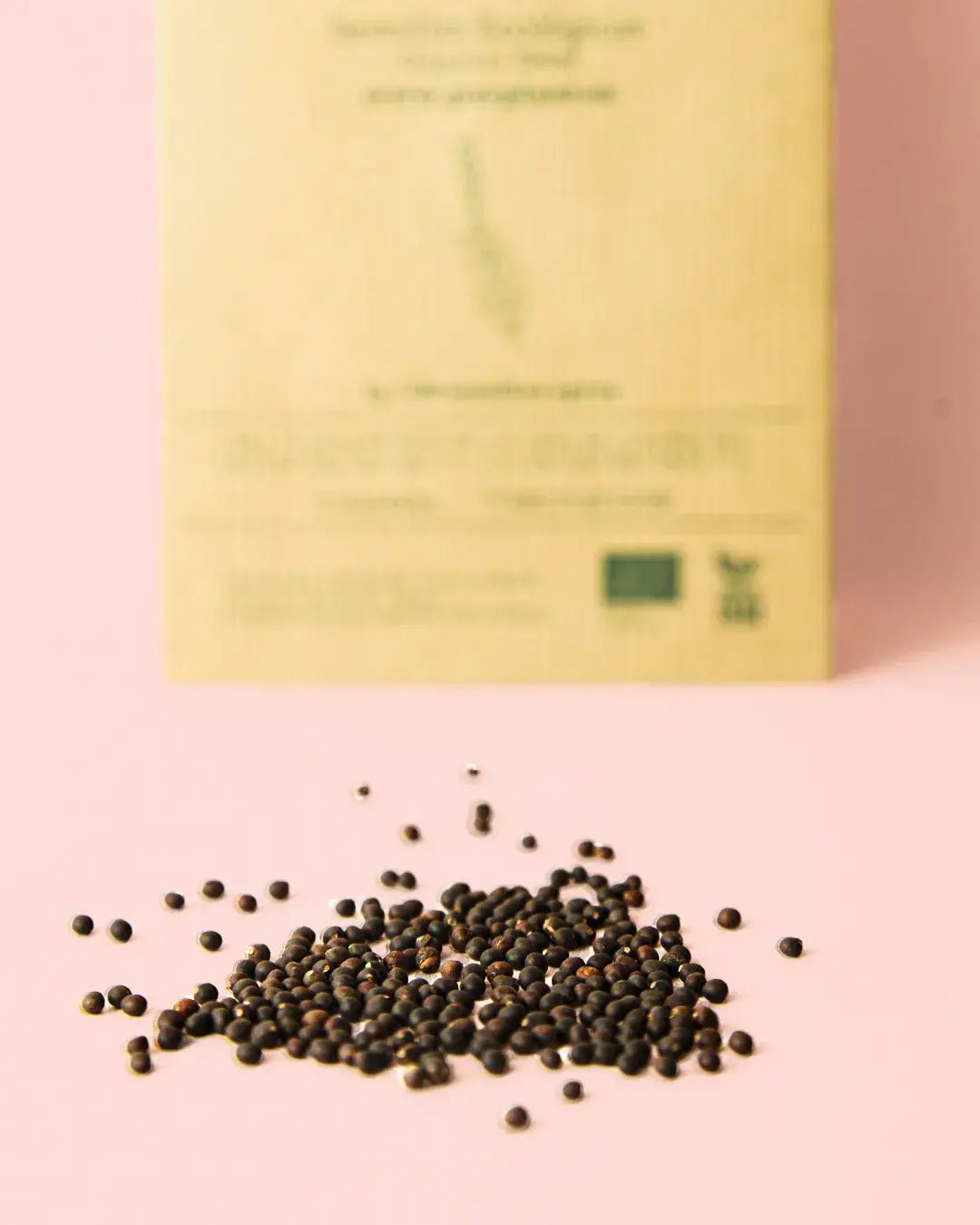 Semillas de Salvia - Pur Plant