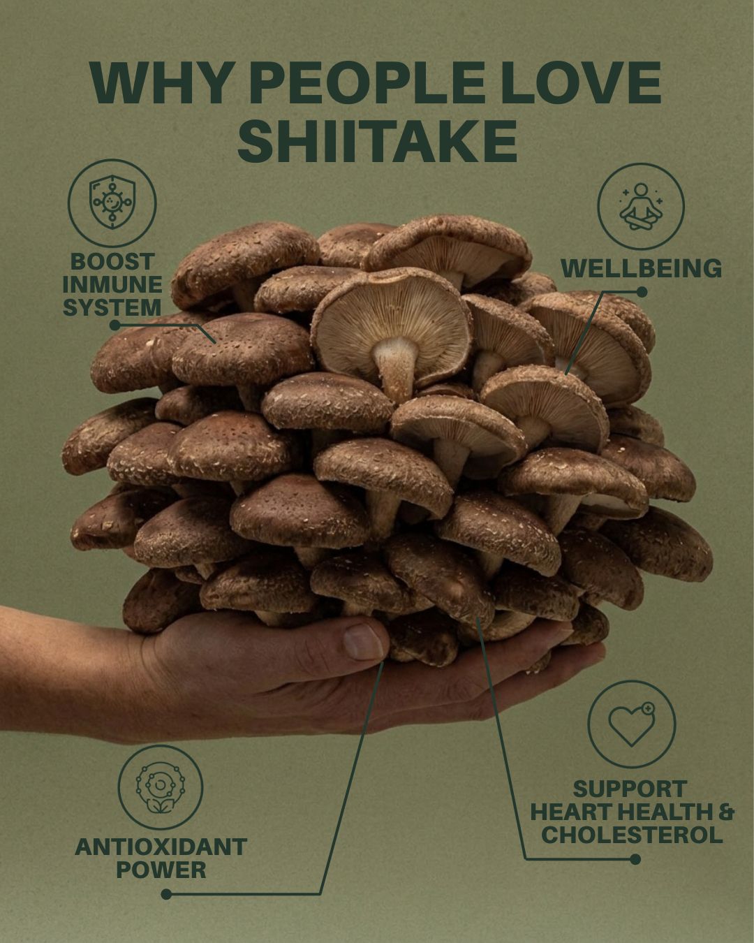 shiitake_benefits