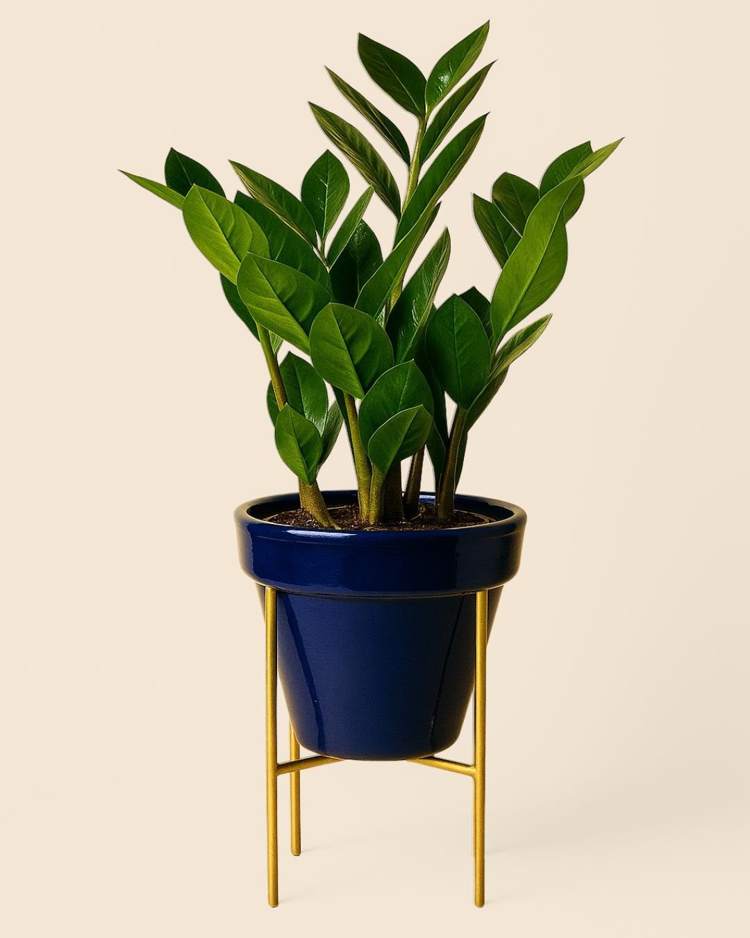 Soporte Dorado para Macetas 15 cm - Pur Plant