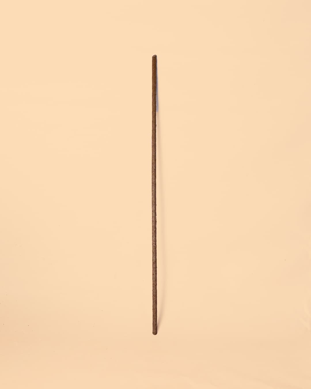 stick tutor biodegradable palo