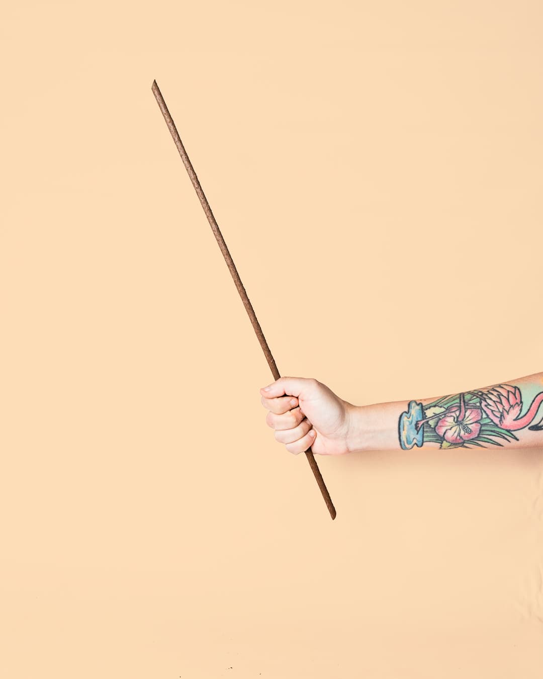 stick tutor biodegradable